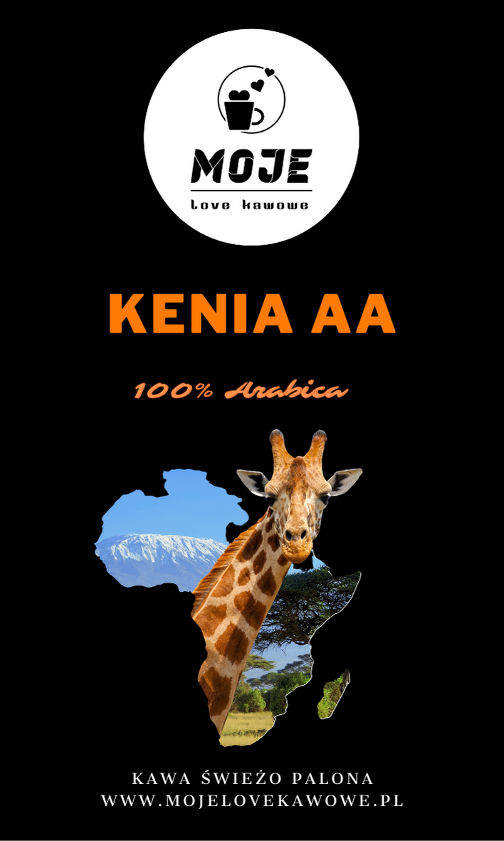 Kawa Kenia AA TOP 1000g zmielona